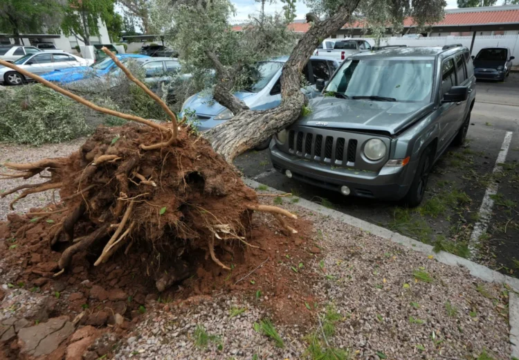 Rare Severe Storms Sweep Across Arizona Packing Golf Ball-Sized Hail, High Winds, and Possible Tornado